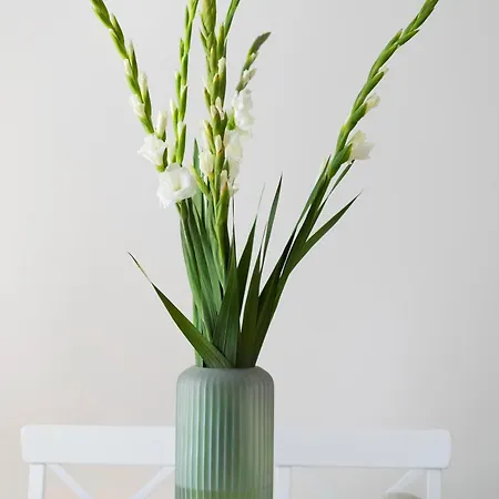 Appartement Elite Old Town Premium Gdańsk