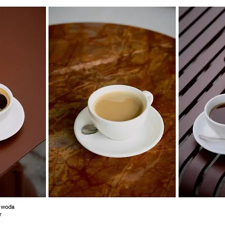 Elite Old Town Premium *