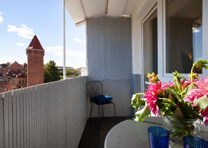 Elite Old Town Premium *