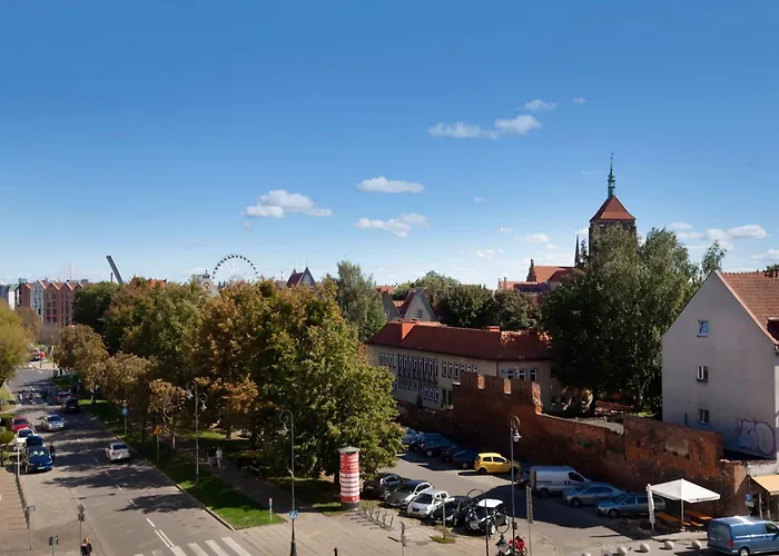 Elite Old Town Premium