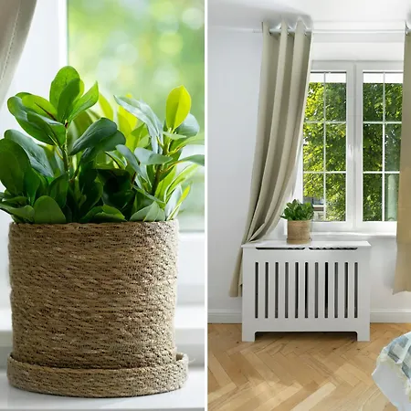 Elite Old Town Premium